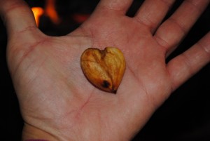 Cuore di castagna