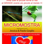 Jessica e Paolo Goglio presentano la MICROMOSTRA
